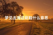 梦见去海边刷鞋什么意思_梦见去海边耍
