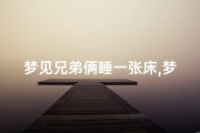梦见兄弟俩睡一张床,梦见两兄弟睡一张床