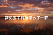 梦见丢了钱就怎么了—梦见丢掉了钱