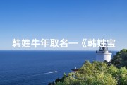 韩姓牛年取名—《韩姓宝宝牛年命名：100分佳名揭晓》