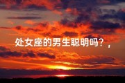 处女座的男生聪明吗？,处女座男生：聪明情绪稳定，揭秘内心世界