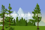 带仙缘的人梦见带弟子回家(带仙缘的人梦见仙家)