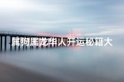 属狗属龙华人开运秘籍大揭秘