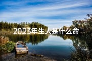 2023年生人是什么命？缺什么？—2023年新命格：未来之星闪耀登场