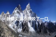 我梦见被小孩咬了一口,梦到被小孩咬了一口