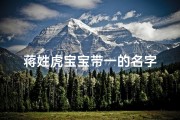 蒋姓虎宝宝带一的名字