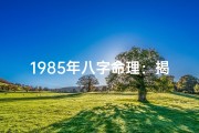 1985年八字命理：揭秘属兔人的命运密码