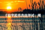 《铂字起名吉凶测试：揭秘名字背后的运势秘密》