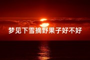 梦见下雪摘野果子好不好;梦见雪地里摘果子