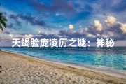 天蝎脸庞凌厉之谜：神秘气质背后的真相