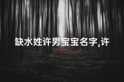 缺水姓许男宝宝名字,许姓缺木的男孩名字