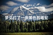 梦见打了一条黑色的毒蛇,做梦梦到打黑蛇
