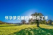 怀孕梦见被豹子咬伤了手指、梦见被豹子咬破手