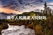 属牛人和属龙人同财吗