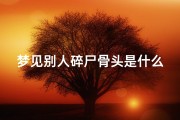 梦见别人碎尸骨头是什么征兆;梦到别人尸骨