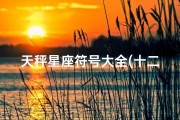 天秤星座符号大全(十二星座符号,不要图片我也现成的唯一复制)