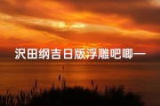 沢田纲吉日版浮雕吧唧—沢田纲吉技能介绍