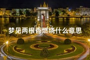 梦见两根香燃烧什么意思—梦见两根香燃烧什么意思啊