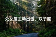 处女座主动出击，双子座心动了吗？
