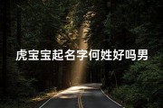 虎宝宝起名字何姓好吗男孩,何姓虎宝宝男孩：威武雄风，未来之星
