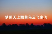 梦见天上飘着乌云飞来飞去—梦见天上乌云密布是什么意思