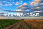 梦见写字格子小了怎么回事(梦见写字很好看整齐)