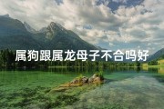 属狗跟属龙母子不合吗好吗_属狗的母亲和属龙的孩子