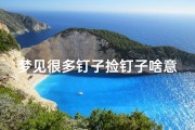 梦见很多钉子捡钉子啥意思(梦见好多小钉子)