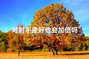 对射手座好他会加倍吗