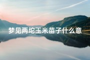 梦见两坨玉米苗子什么意思_梦见两大堆玉米粒