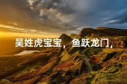 吴姓虎宝宝，鱼跃龙门，吉祥如意好名字