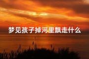 梦见孩子掉河里飘走什么意思,梦到孩子掉到河里是什么意思