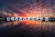 公司名吉凶测试评分-吉凶一测，公司名运势评分大揭秘