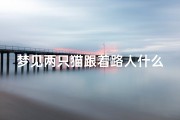 梦见两只猫跟着路人什么意思,梦见两只猫跟着路人什么意思呀