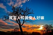 属龙人和属兔人好嘛