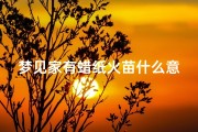 梦见家有蜡纸火苗什么意思(梦见满屋子蜡烛)