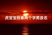 虎宝宝姓秦两个字男孩名字;姓秦的男孩名两个字