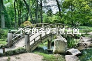 一个字的名字测试吉凶,姓名一个字的有哪些好字