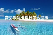 梦见喉咙卡钢针怎么回事—梦见喉咙被针卡住