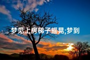 梦见上房梯子摇晃;梦到上房梯子变形是什么意思
