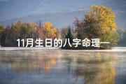 11月生日的八字命理—11月生日的八字命理详解