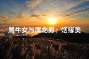 属牛女与属龙男：姻缘美满的奇妙组合