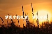 梦见小狗托梦、梦见小狗驮着我跑