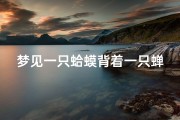 梦见一只蛤蟆背着一只蝉