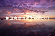 梦见房顶流很大的雨水什么预兆、梦见房顶流很大的雨水什么预兆解梦