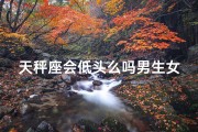 天秤座会低头么吗男生女生-《天秤男女生：低头背后的秘密》
