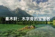 秦木轩：木字旁的宝宝名字，寓意成长与希望