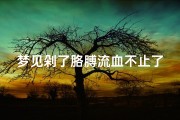 梦见剁了胳膊流血不止了—梦见自己把胳膊砍断