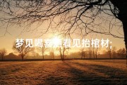 梦见喝喜酒看见抬棺材;梦见看见抬棺材出殡