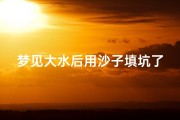 梦见大水后用沙子填坑了;梦见往沙子里加水